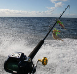 Electric Reels